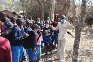 Learning About Native Trees