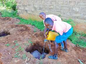 Watering the newly planted Moringa Tree