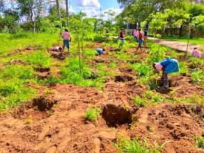 Moringa grove preparation at Mutyangoi