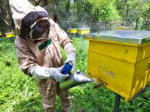 Beekeeping for Income Generation