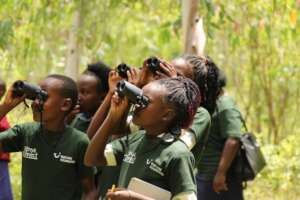Becoming Birders