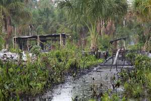 Oil spill in Pacaya Samiria Natural Reserve