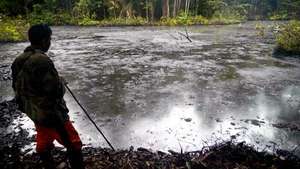 Aftermath of a Spill