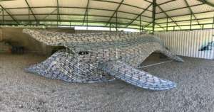 The whale, constructed out of plastic bottles!