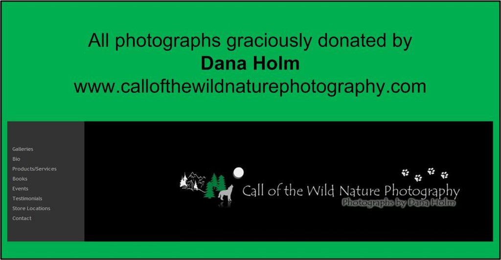 Help ASANA Conserve Costa Rica's Pacific Coast