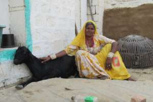 Champa Devi with her goat