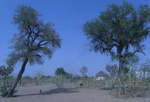 Rural district of Setrawa