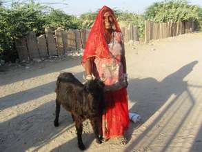 Sheerni SHG member with her goat