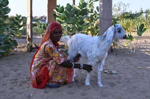 SHG member with another goat..