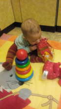 Tiny sweets lover