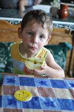 Vital Emergency Fostering for Children in Ukraine