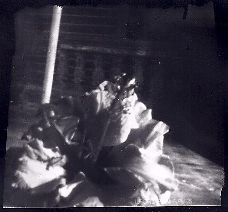 Support Media Literacy for Kids in Rural India