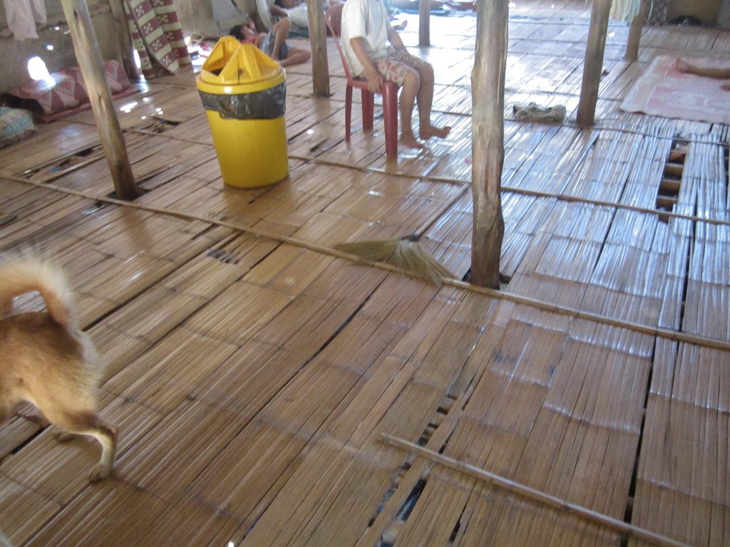 Too Many Holes in our Recovery Centre Floor