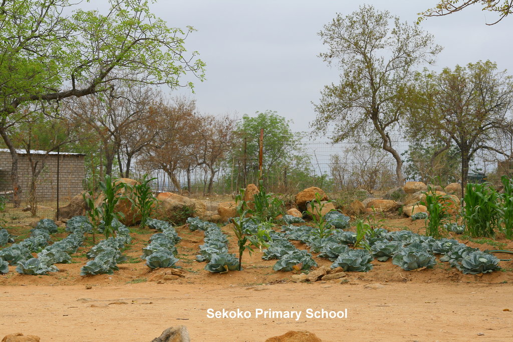 Drinking water for 200+children in South Africa