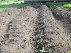 School garden ready for seeds