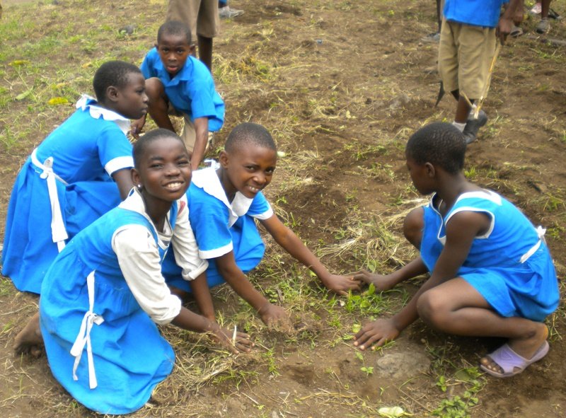 Vegetable Gardens for Improved Nutrition in Buea
