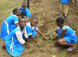 School pupils working at GBPS Bonduma Village