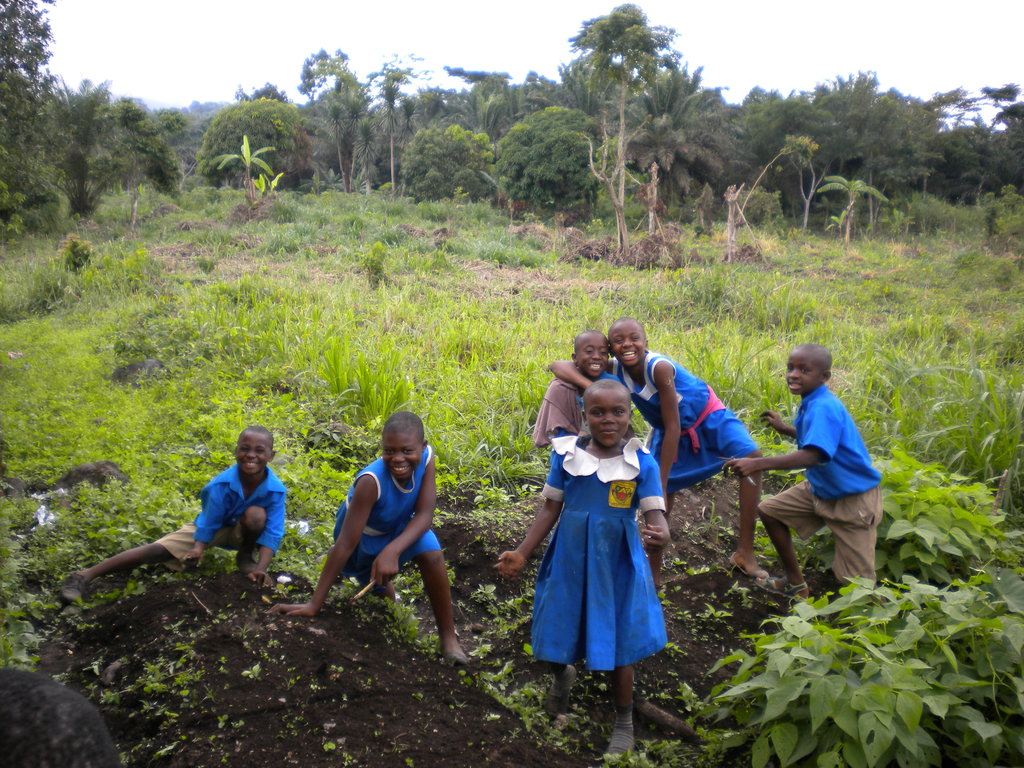 Vegetable Gardens for Improved Nutrition in Buea