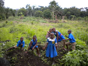 Vegetable Gardens for Improved Nutrition in Buea