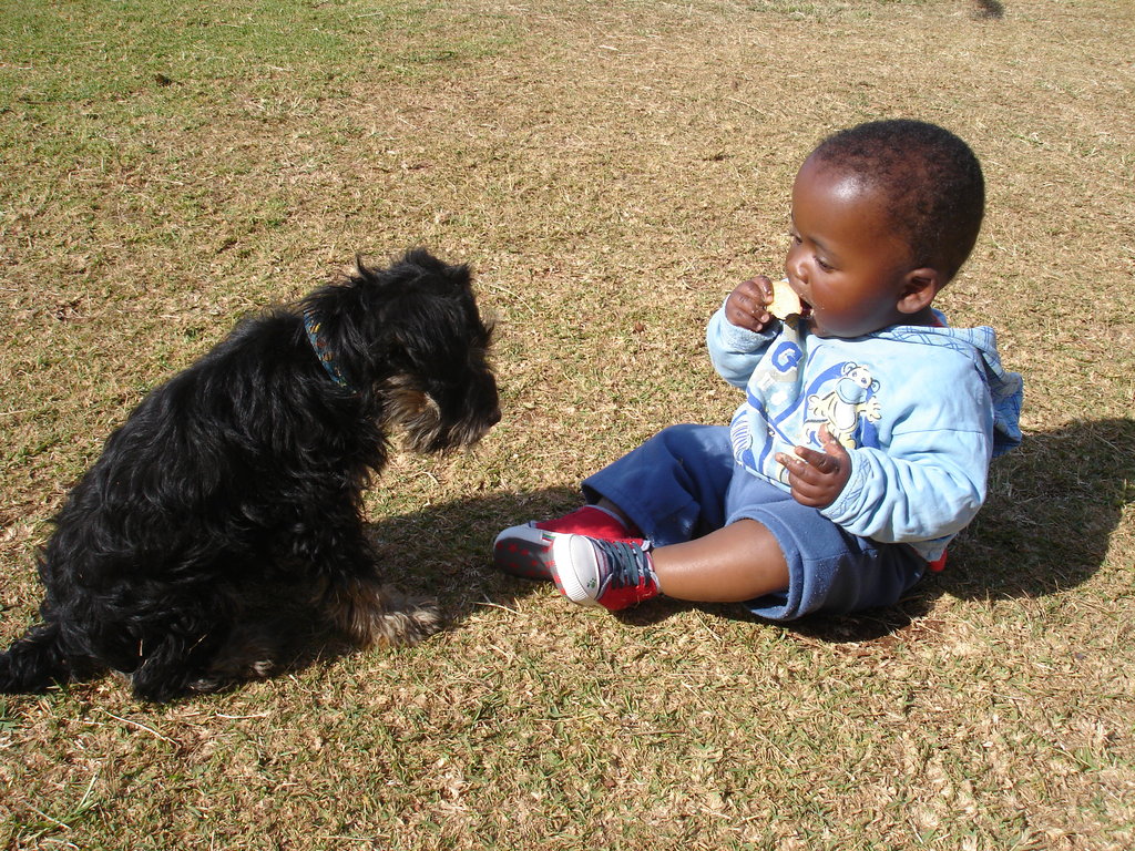 Provide a Home to 30 orphans in South-Africa
