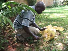 Fred cutting jackfruit