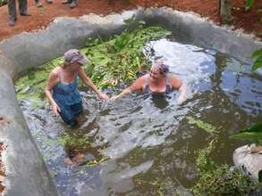 In the fish pond releasing the fish