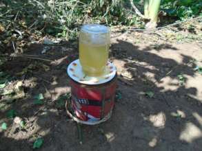 bee feeder