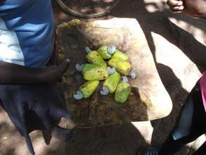 cashew apples