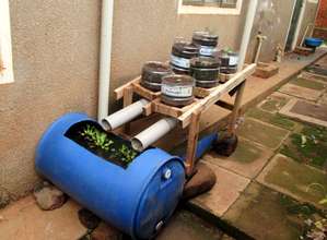 Aquaponics 1