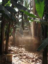 Beautiful water spraying out of the ground!