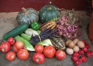 Bountiful Basket