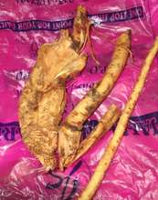horseradish roots