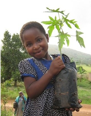 Water System for Peace Demonstration Farm, Uganda