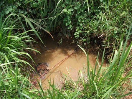 Water System for Peace Demonstration Farm, Uganda