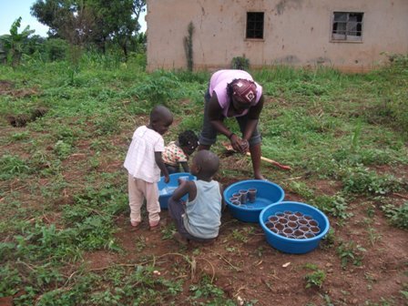 Water System for Peace Demonstration Farm, Uganda