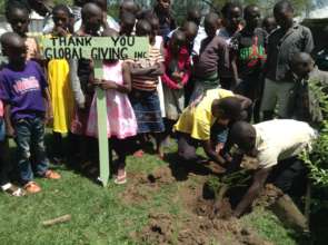 Planting of trees to represent our partners