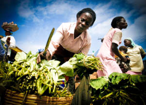 Women farmers produce 70 percent of Africa's food.