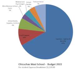 Visual 2023 Budget in a PIE