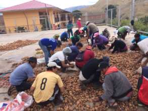 Parents sort good potatoes for the CW meal program