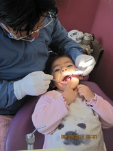 In 2012 Dentist treated all 110 students in CW