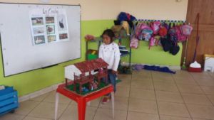 Explaining about some typical Andean houses
