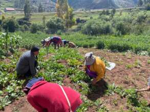 Parents skill to produce food for school meals