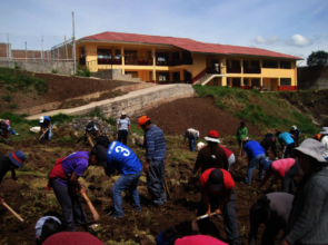 Parents plant school garden for meal program