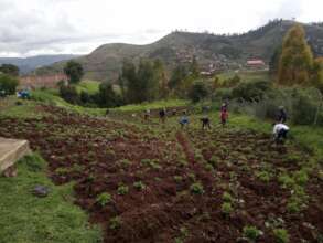 Parents know how to get big harvest for food