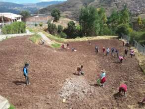 Parents plant food for next years meal program