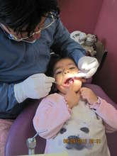 Donated dental care for every student last year