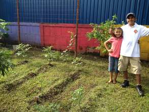 The preschool garden plot is looking great!