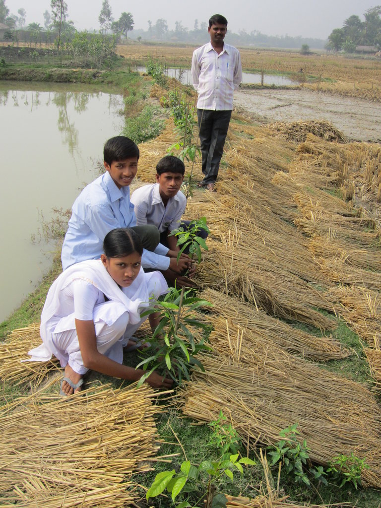 Plant 1,000 Saplings in the Sundarbans