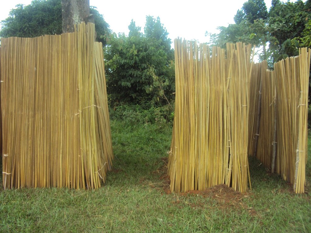 Build 2 Pit Latrine For 300 Pupil School in Uganda