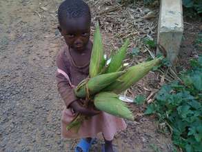 maize as one of the visions to be caltivate on thi